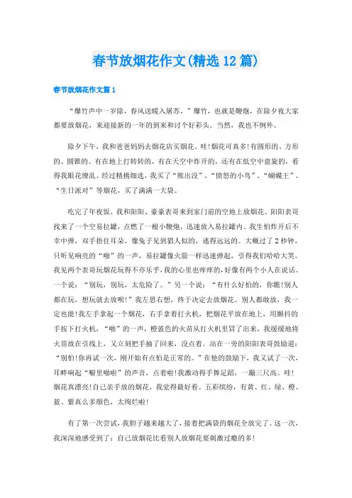 春节放烟花作文(精选12篇)