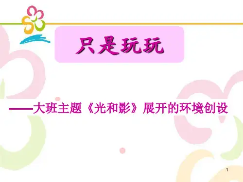大班环境创设《光和影》ppt课件