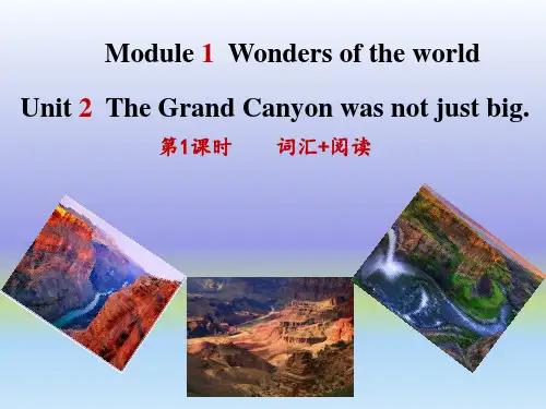 Module++1+Unit+2 外研版九年级英语上册