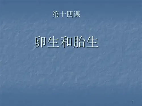 卵生和胎生ppt课件