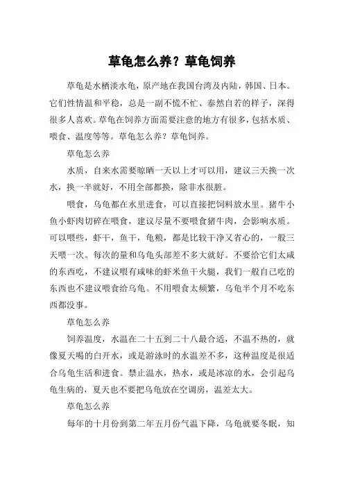 草龟怎么养？草龟饲养
