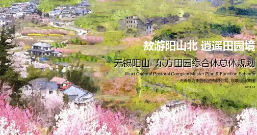 无锡惠山阳山东方田园总体规划原稿(国内第一个田园综合体)绝对精品