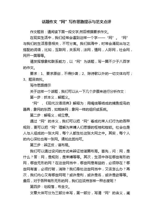 话题作文“网”写作思路提示与范文点评