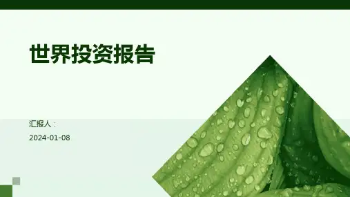 世界投资报告 