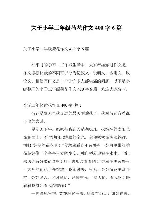 关于小学三年级荷花作文400字6篇