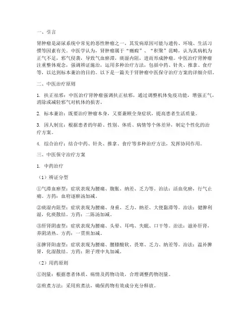 肾肿瘤中医保守治疗方案