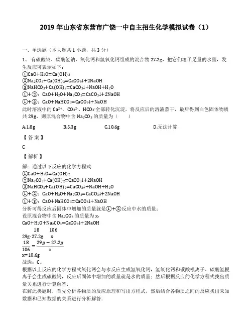 2019年山东省东营市广饶一中自主招生化学模拟考试试卷(1)(解析版)