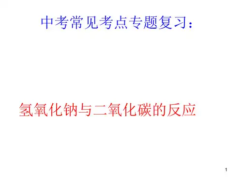 氢氧化钠与二氧化碳的反应ppt课件