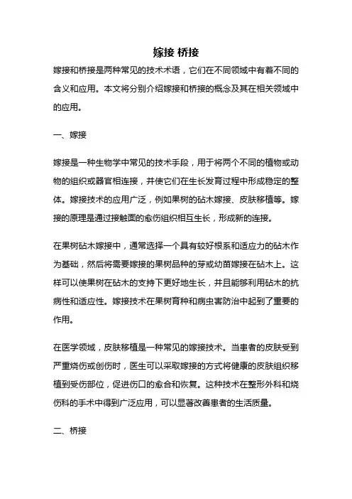 嫁接 桥接