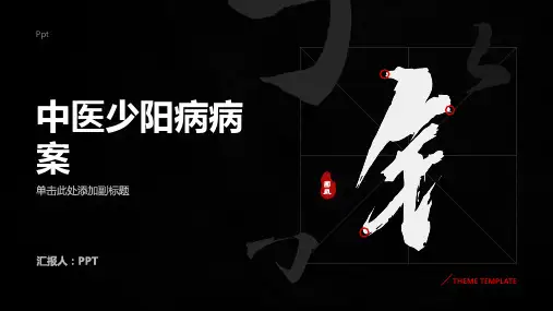 《中医少阳病病案》课件