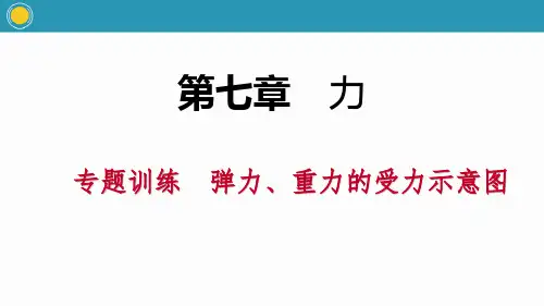 专题训练(一)弹力、重力的受力示意图_PPT课件