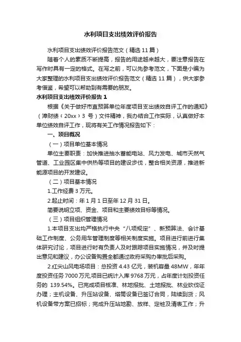 水利项目支出绩效评价报告范文（精选11篇）