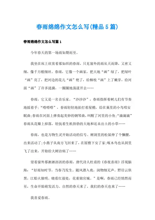 春雨绵绵作文怎么写(精品5篇)