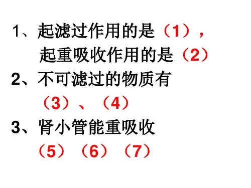 七年级下册第三单元4-2汗液的形成和排出