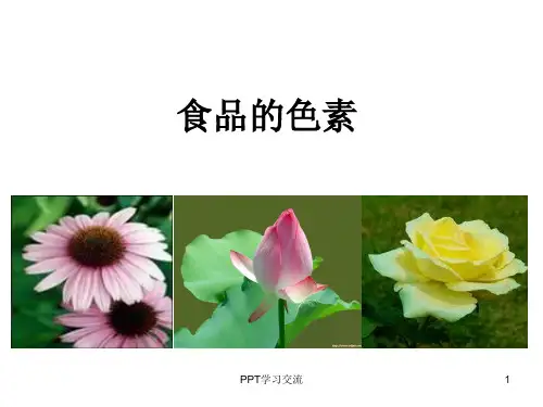 食品的色素课件