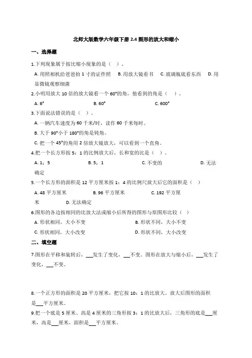 北师大版数学六年级下册2-4图形的放大和缩小