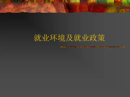 就业环境及就业政策