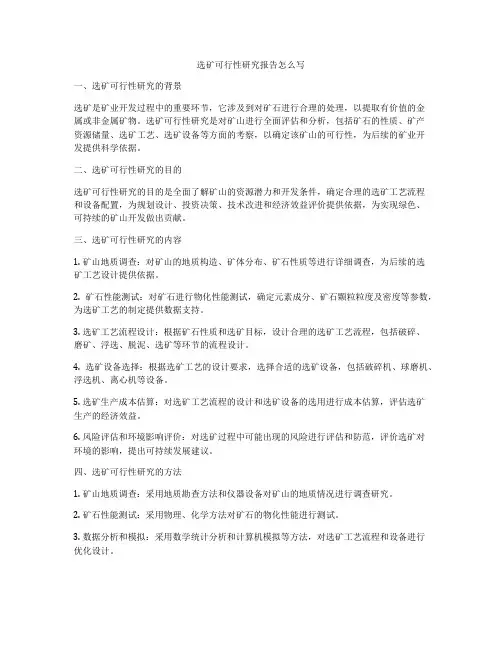 选矿可行性研究报告怎么写