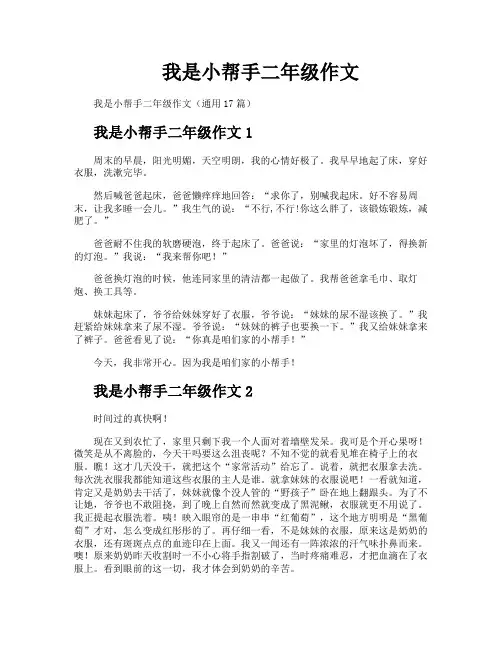我是小帮手二年级作文