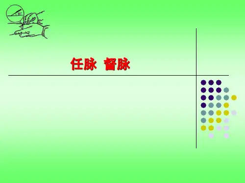 任脉督脉