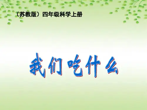 四年级上册科学课件-4.1 我们吃什么｜苏教版 (共24张PPT)