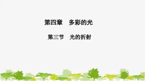 沪科版物理八年级上册 第四章 多彩的光  第三节 光的折射课件