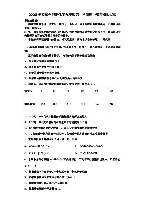 2023年安徽合肥市化学九年级第一学期期中统考模拟试题含解析