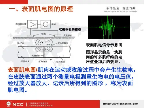表面肌电图基础知识-PPT文档资料