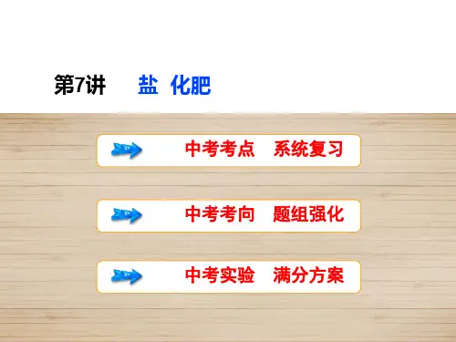 中考化学复习课件 第7讲 盐  化肥(共36张PPT)