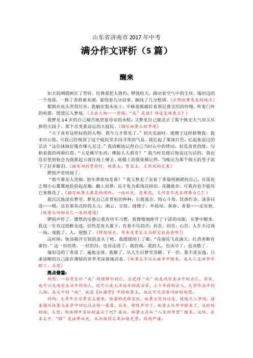 山东省济南市2017年中考满分作文评析(5篇)