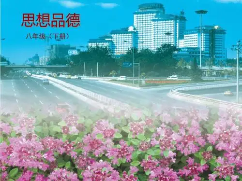 维护人身权利PPT课件7