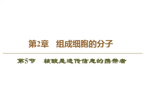 人教版高中生物必修一课件第2章第5节核酸是遗传信息的携带者