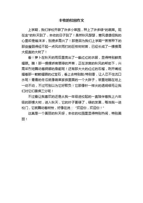 丰收的校园作文
