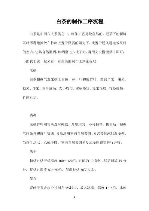 白茶的制作工序流程