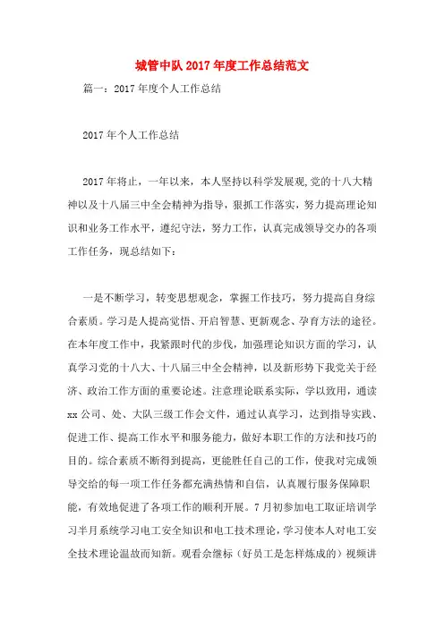 城管中队2017年度工作总结范文