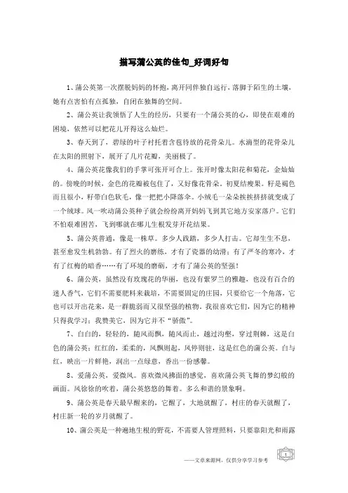 描写蒲公英的佳句-好词好句