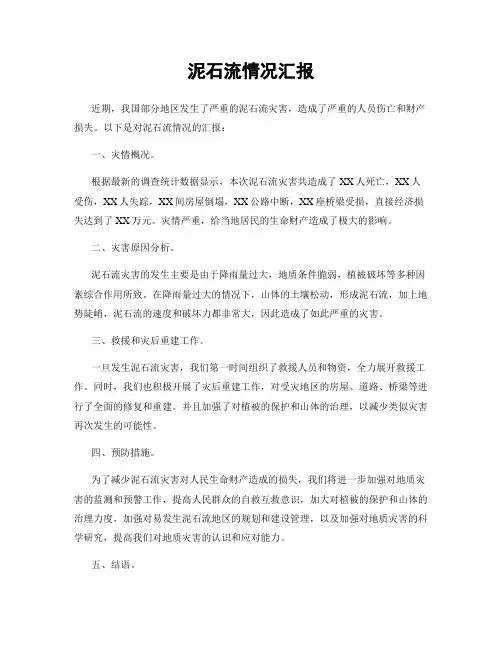 泥石流情况汇报