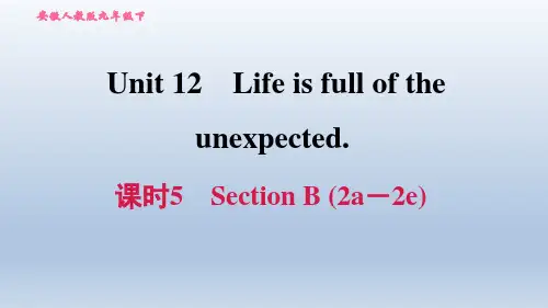 2021春人教版九年级英语下册 Unit 12 课时5 Section B (2a-2e)