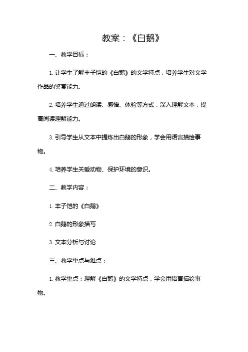 《白鹅》教案