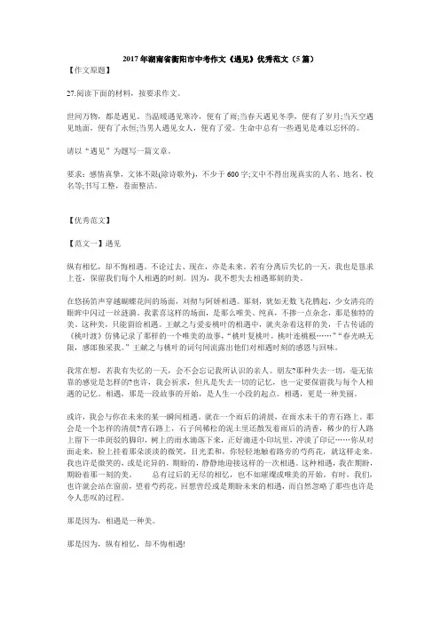 作文《遇见》优秀范文(5篇)