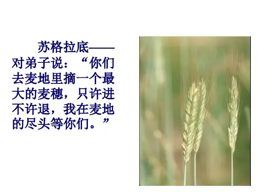 六年级语文最大的麦穗1(PPT)3-3