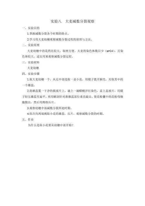 实验八  大麦减数分裂观察