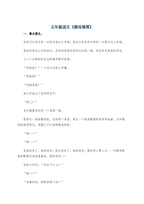 五年级语文《慈母情深》