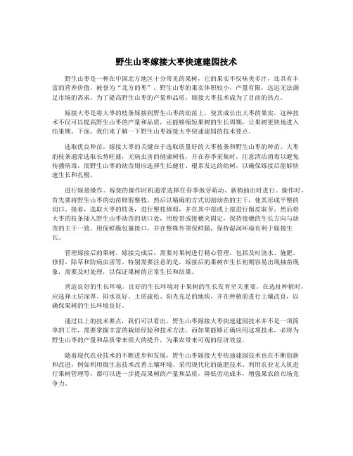 野生山枣嫁接大枣快速建园技术
