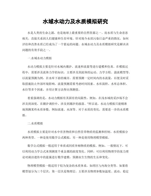 水域水动力及水质模拟研究
