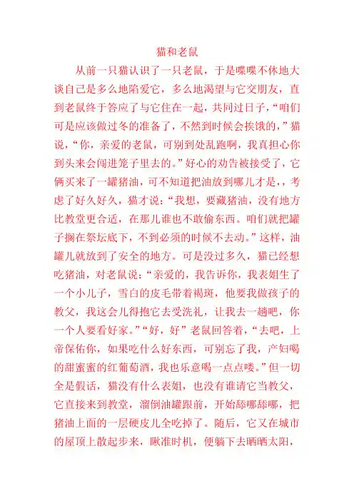 猫和老鼠