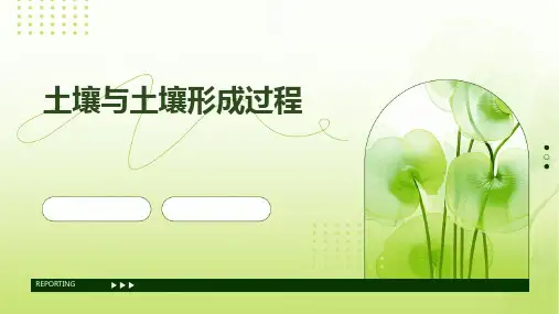 土壤与土壤形成过程