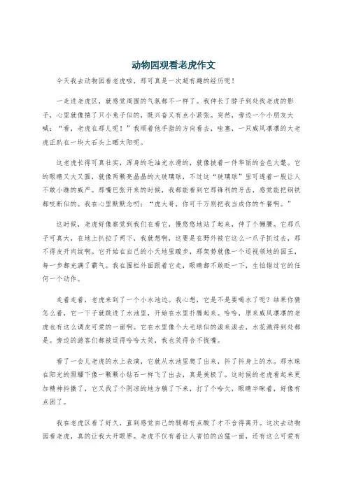 动物园观看老虎作文