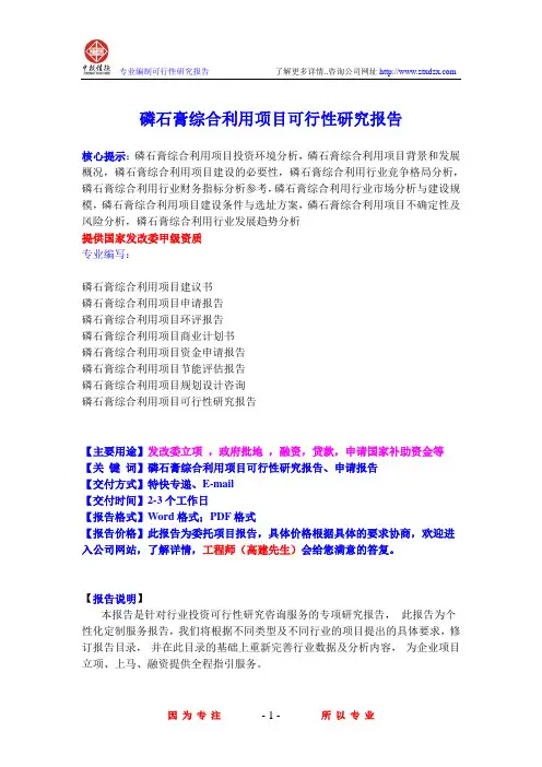 磷石膏综合利用项目可行性研究报告