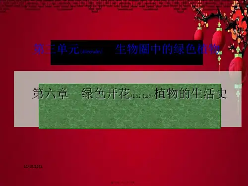 中考生物 考点梳理复习 第三单元 第六章 绿色开花植物的生活史生物课件